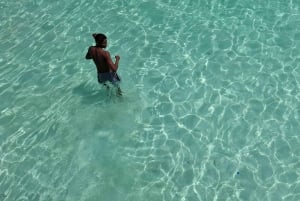 Buccoo Reef and Nylon Pool Adventure