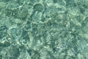 Buccoo Reef and Nylon Pool Adventure