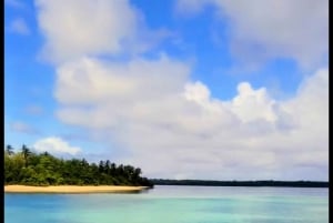 Excursion à Buccoo Reef et Nylon Pool avec le capitaine Phillips