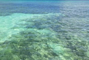Coastline Snorkel And BBQ