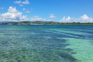 Coastline Snorkel And BBQ