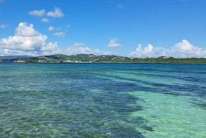 Coastline Snorkel And BBQ