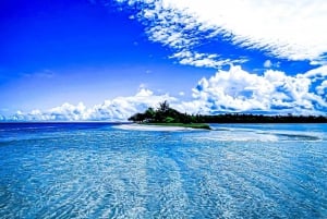 Coastline Snorkel And BBQ