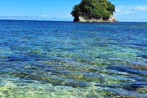 Coastline Snorkel And BBQ
