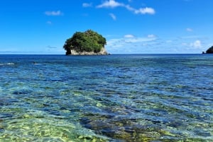 Coastline Snorkel And BBQ