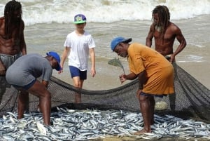 Scarborough: Personalize sua excursão a Tobago