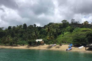 Scarborough: Personalize sua excursão a Tobago