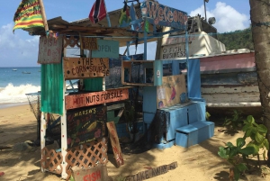 Scarborough: Personalize sua excursão a Tobago