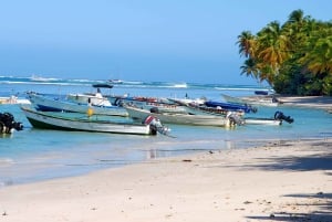 Scarborough: Personalize sua excursão a Tobago