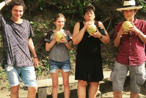 Scarborough: Personalize sua excursão a Tobago
