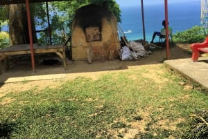 Scarborough: Personalize sua excursão a Tobago