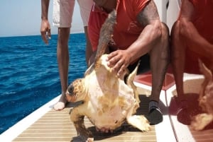 Los Cristianos: Eco-Yacht Whale Watching Cruise with Swim