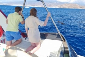 Los Cristianos: Eco-Yacht Whale Watching Cruise with Swim