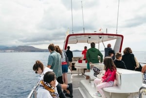 Los Cristianos: Eco-Yacht Whale Watching Cruise with Swim
