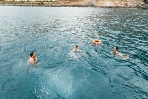 Los Cristianos: Eco-Yacht Whale Watching Cruise with Swim