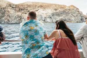 Los Cristianos: Eco-Yacht Whale Watching Cruise with Swim