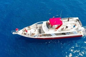 Los Cristianos: Eco-Yacht Whale Watching Cruise with Swim