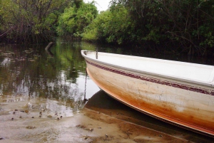 Nariva Swamp: Monkey Viewing Experience