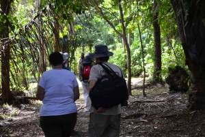 Nariva Swamp: Monkey Viewing Experience