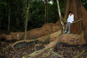 Nariva Swamp: Monkey Viewing Experience