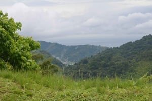 Paramin: Mountain Village Jeep Adventure