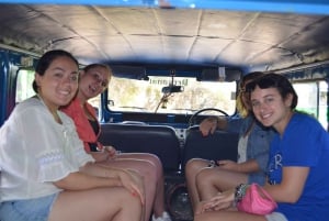 Paramin: Mountain Village Jeep Adventure
