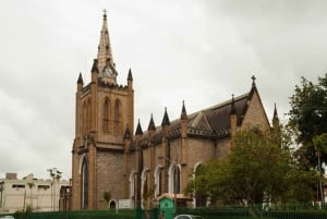 Port de Spain : Private Walking Tour With A Guide