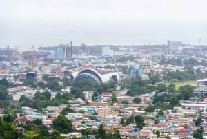 Port de Spain : Private Walking Tour With A Guide