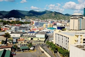 Port de Spain : Private Walking Tour With A Guide