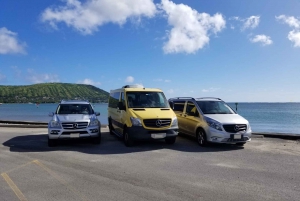 Port of Spain Airport (POS): Transfer to Port of Spain hotel