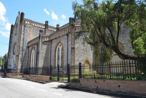 Port of Spain and Fort George Sightseeing Tour