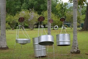 Port Of Spain: City tour