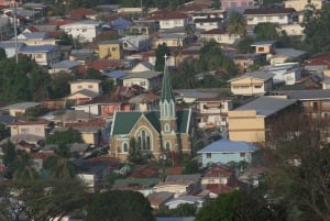 Port Of Spain: City tour