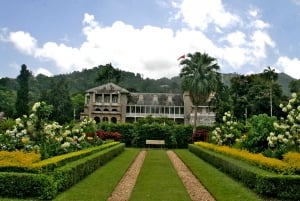 Port Of Spain: City tour