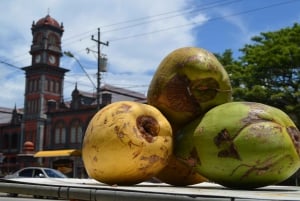 Port Of Spain: City tour