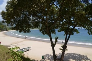 Port of Spain: Day Trip to Las Cuevas Beach