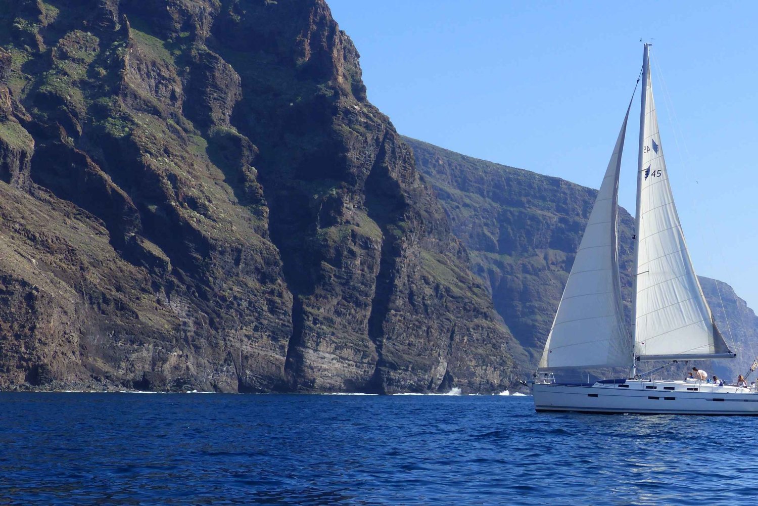 Tenerife: Los Gigantes Whale Watching Cruise by Sail Boat