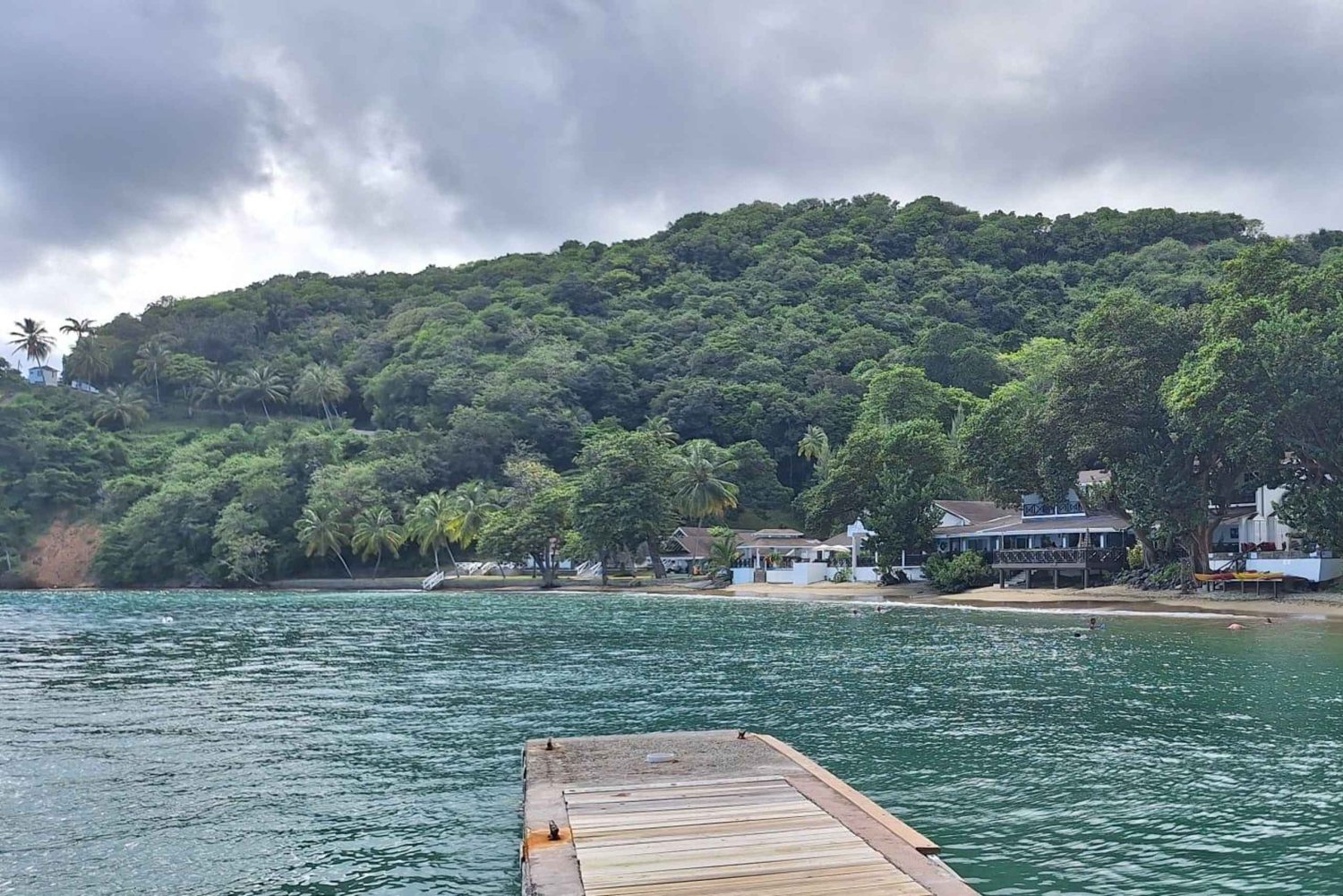 The Little Tobago Tour