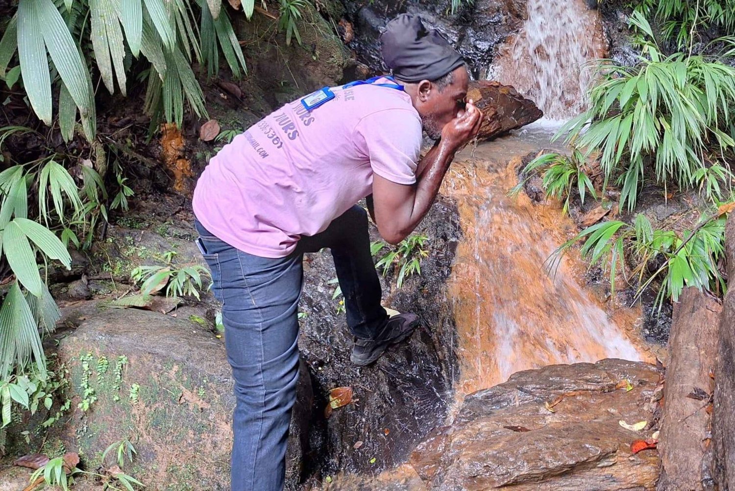 The Tobago Rainforest Tour
