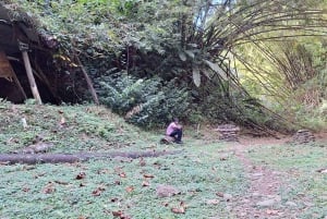 The Tobago Rainforest Tour