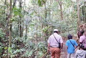 The Tobago Rainforest Tour