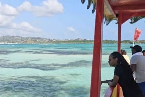 Tobago: Half Day Atlantic Coast Tour with Transfer