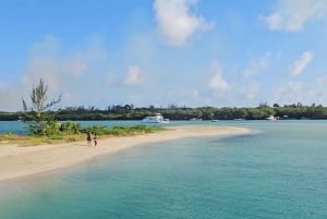 Tobago: Halvdagstur langs Atlanterhavskysten med transport