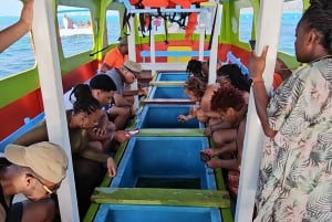 Tobago: Buccoo Reef and Nylon Pool Boat Tour with Transfer