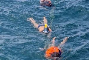 Tobago: Buccoo Reef and Nylon Pool Boat Tour with Transfer