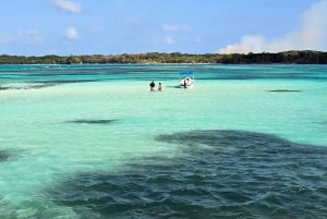Tobago: Buccoo Reef and Nylon Pool Boat Tour with Transfer