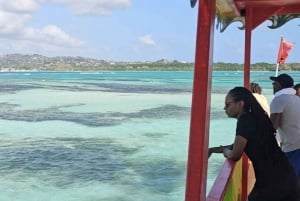 Tobago: Buccoo Reef und Nylon Pool Glass Bottom Boat Tour
