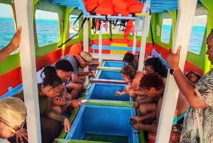 Tobago: Buccoo Reef og Nylon Pool Glass Bottom Boat Tour