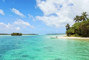 Tobago: Buccoo Reef Glass Bottom Boat Tour: Buccoo Reef Glass Bottom Boat Tour