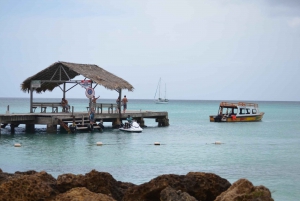 Tobago: Buccoo Reef Glass Bottom Boat Tour: Buccoo Reef Glass Bottom Boat Tour